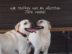Im nächsten Jahr treffen wir uns wieder!
